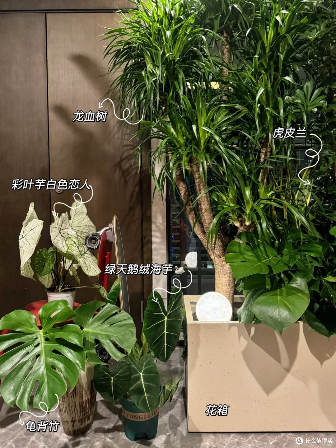 “一梯一户”的快乐谁懂？浙江夫妇把电梯间当玄关，布置得太实用