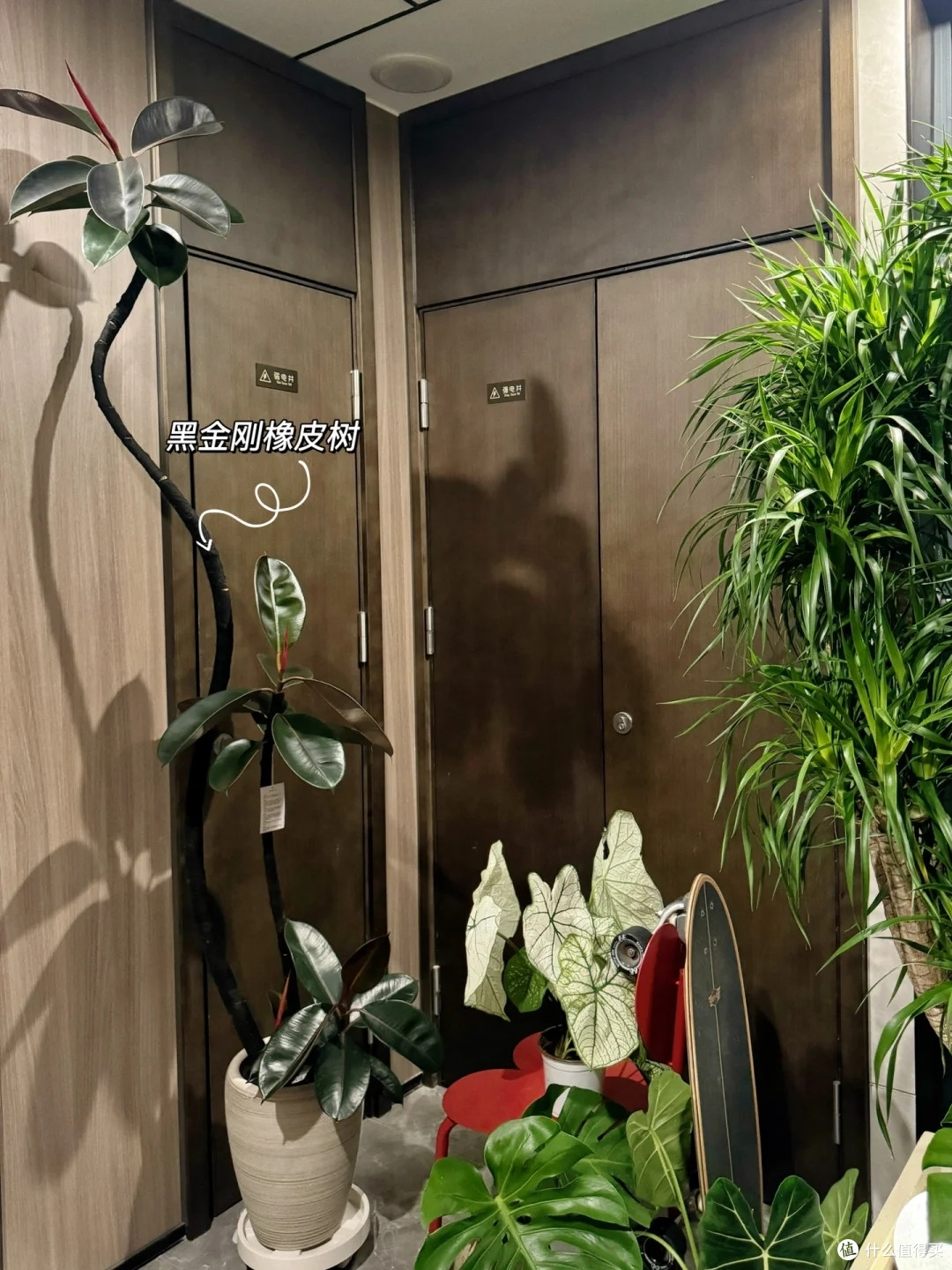 “一梯一户”的快乐谁懂？浙江夫妇把电梯间当玄关，布置得太实用
