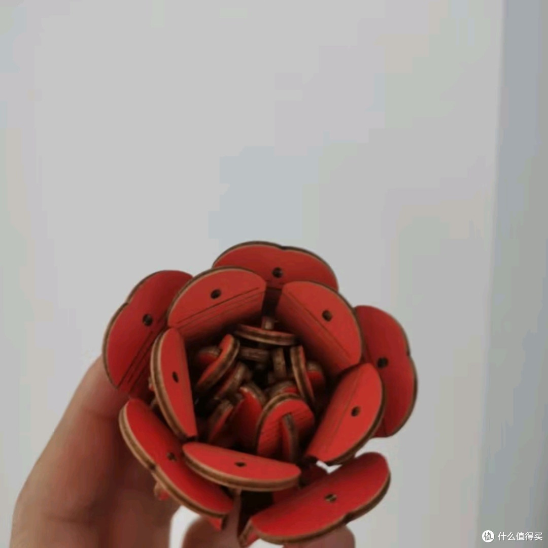 红玫瑰之约：以木艺繁花，献礼38女神节
