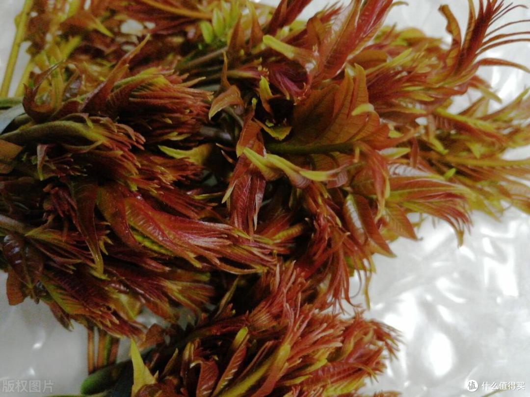 惊蛰后，建议中老年：少吃萝卜白菜，多吃“4鲜”，强免疫少感冒