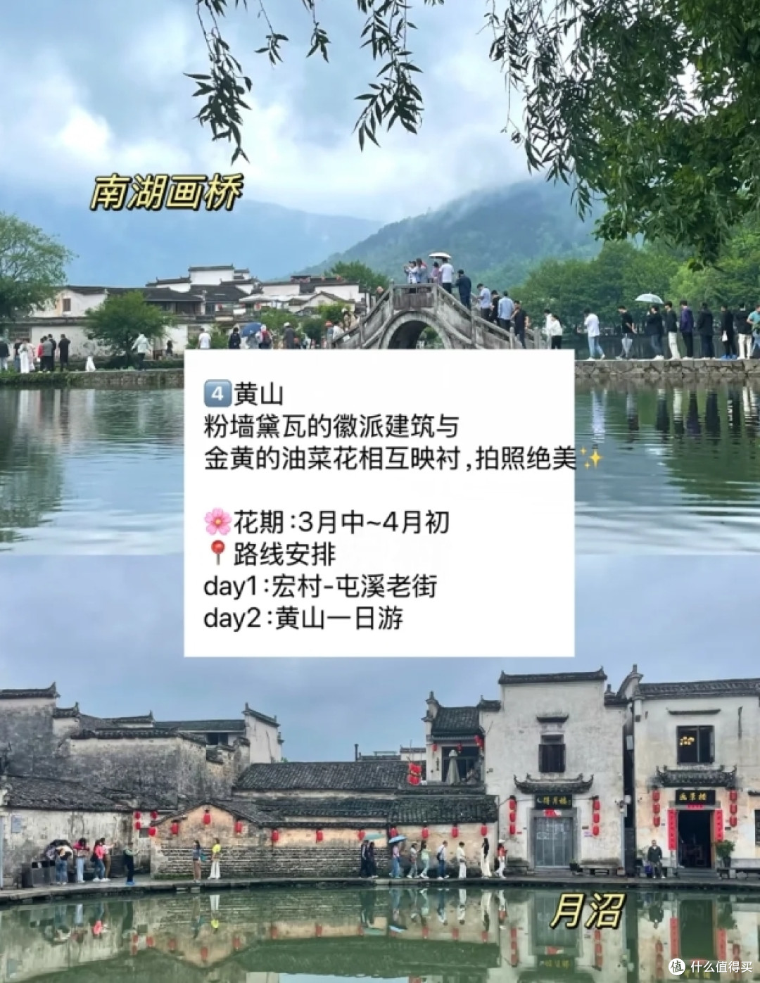 赏花慢游 适合3-4月春天旅游的城市