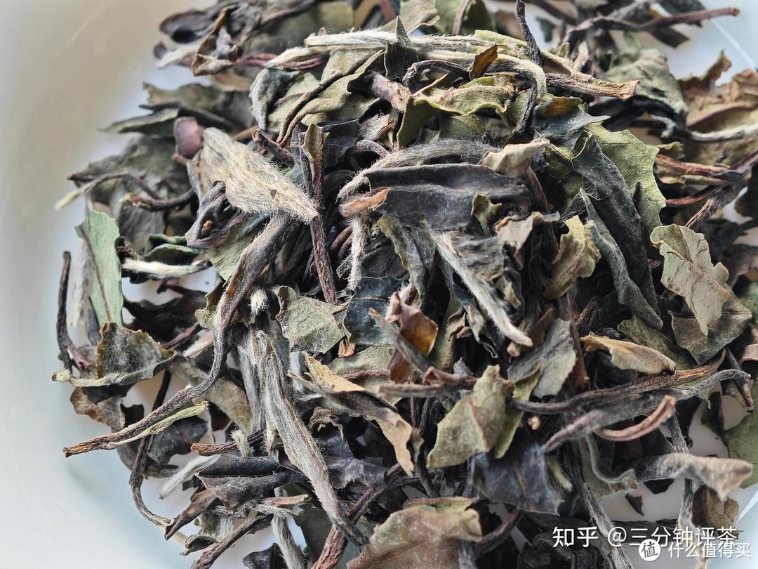 中茶蝴蝶牌的白牡丹怎么样？中茶蝴蝶牌2023一级白牡丹 NO.392