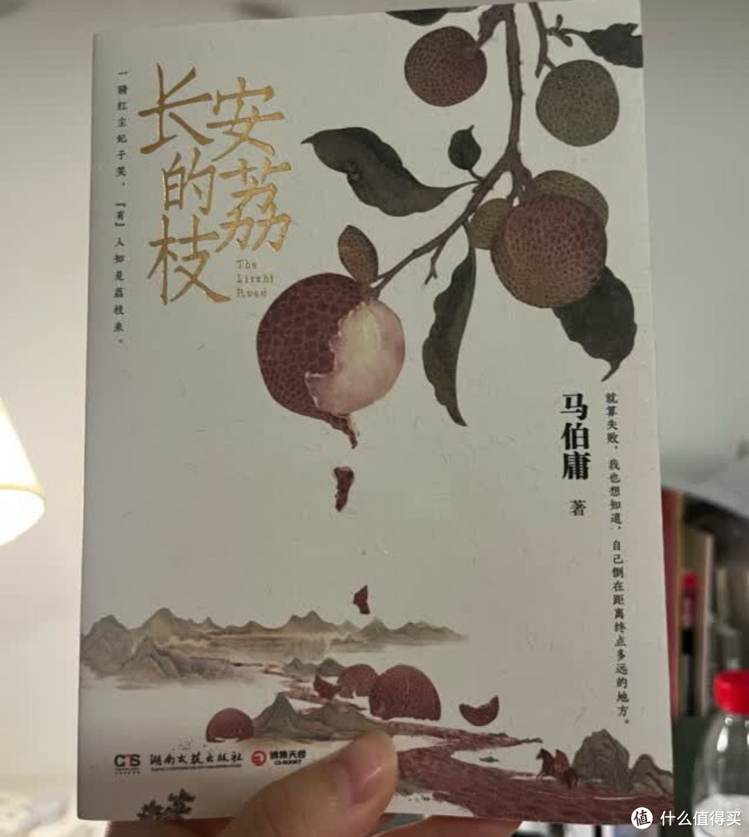 《长安的荔枝》——让女孩精神世界更充实的历史文学好物📚✨