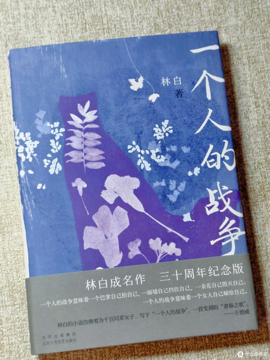 读完林白这三本书,我学会了和世界、和自己和解