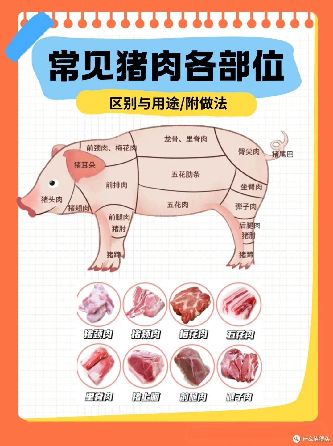 超市买肉不被坑,猪肉部位全攻略!!【干饭人必收藏】
