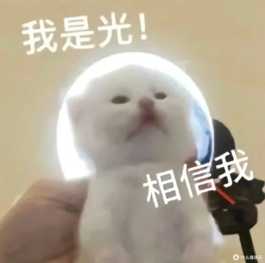 高性价比自动猫砂盆:Cewey开放式自动猫砂盆4个月使用体验分享