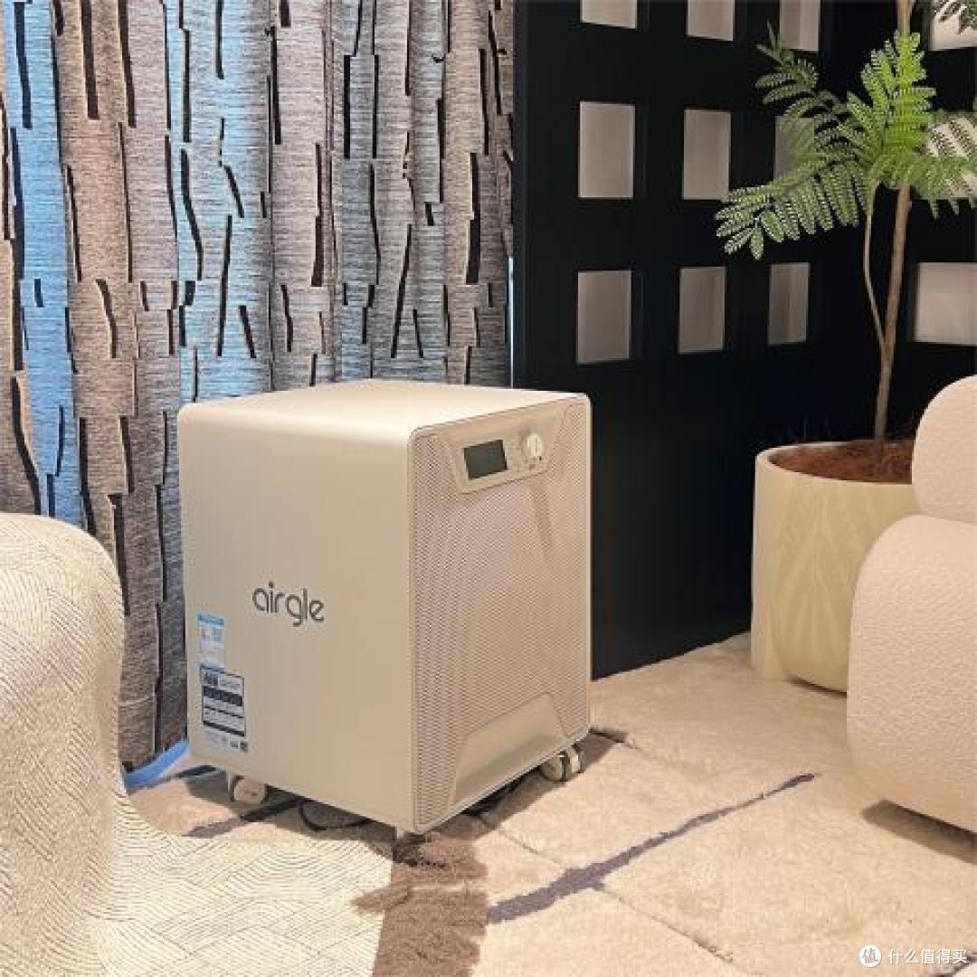 新房装修除甲醛 | 甲醛危害健康——高端空气净化器Airgle除甲醛