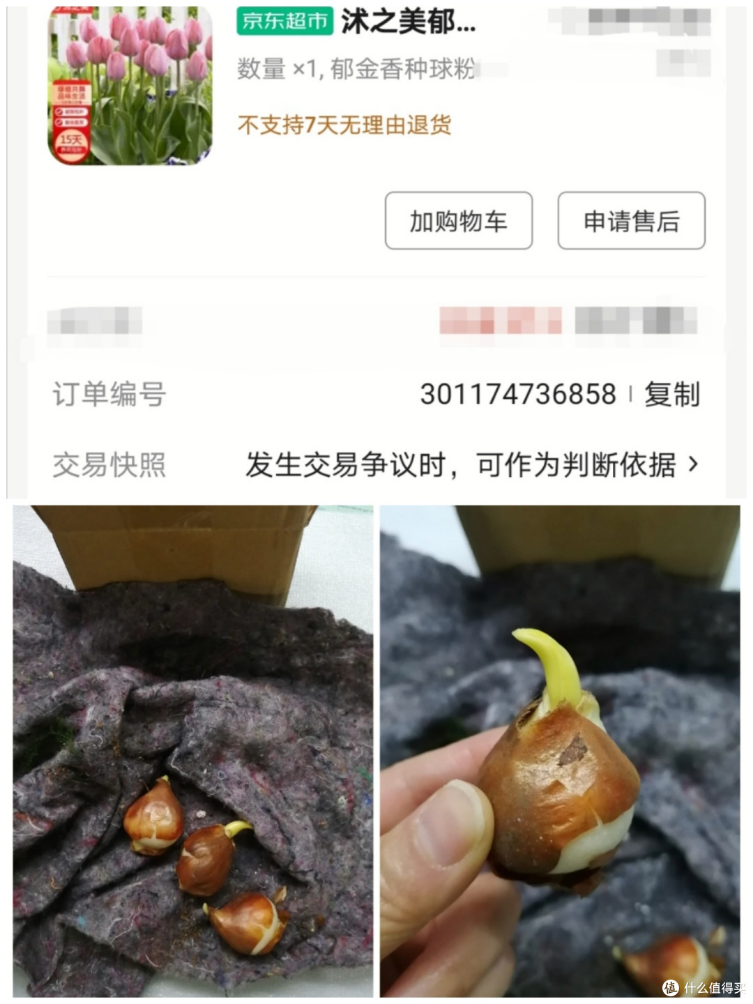 最有意义的3.8节礼物