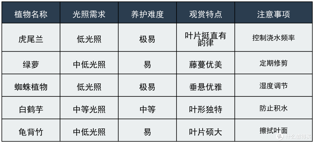 绿植杀手急救,办公族难以维持植物生存,推荐耐阴品种+简易施肥