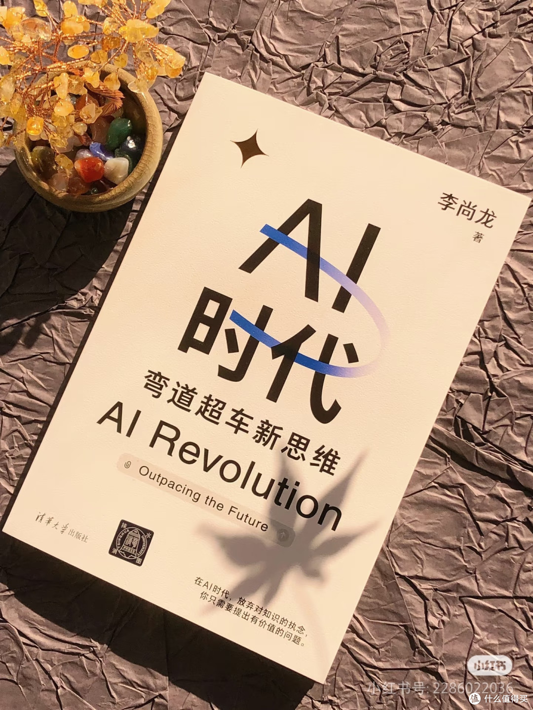 探索五本新书:知识与想象的奇妙旅程