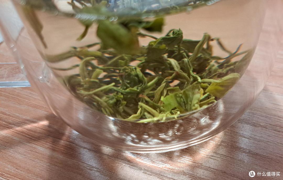 陕西茶中的佼佼者——紫阳茶
