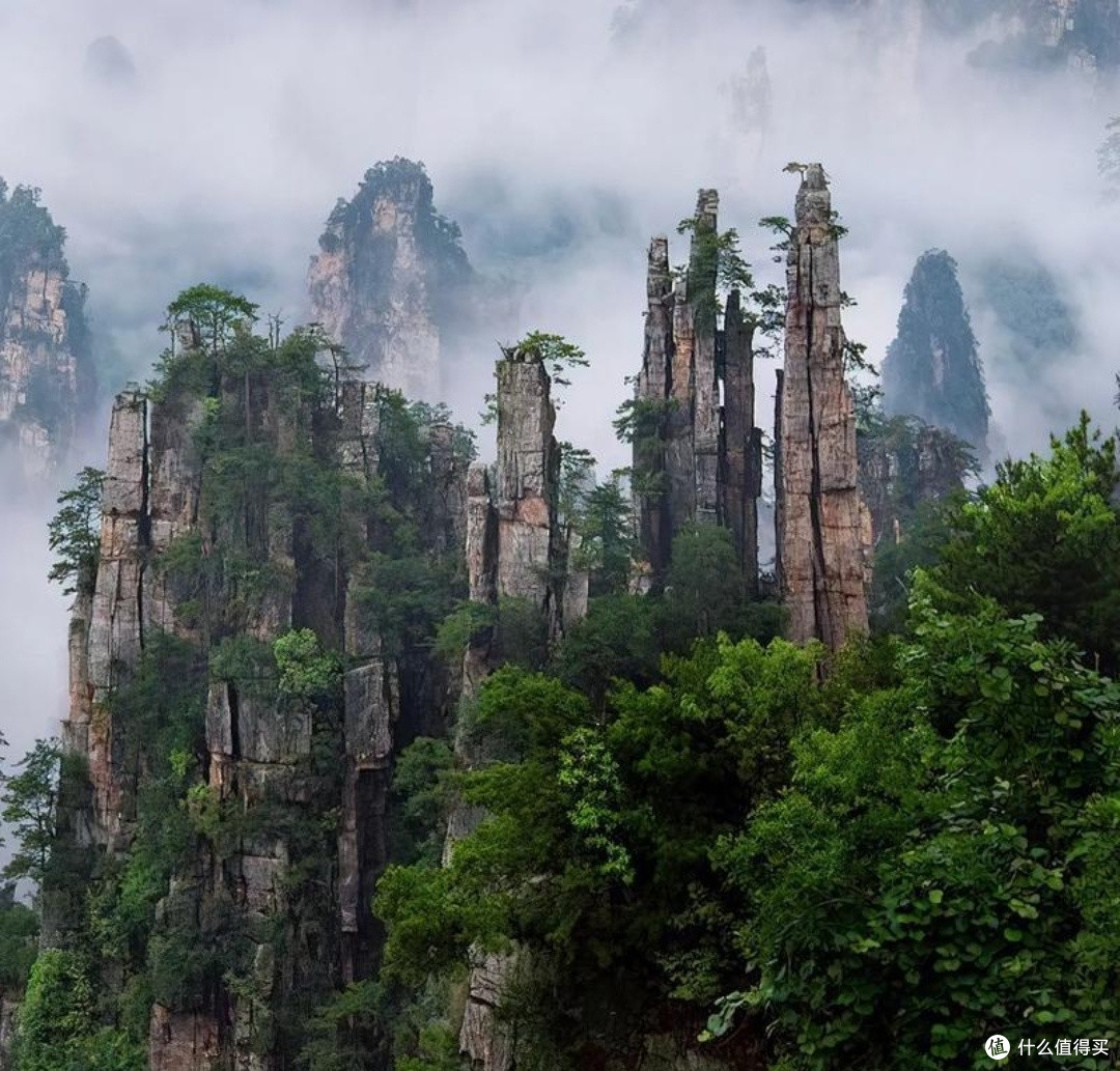 湖南张家界：错峰出游的绝美仙境🏞️