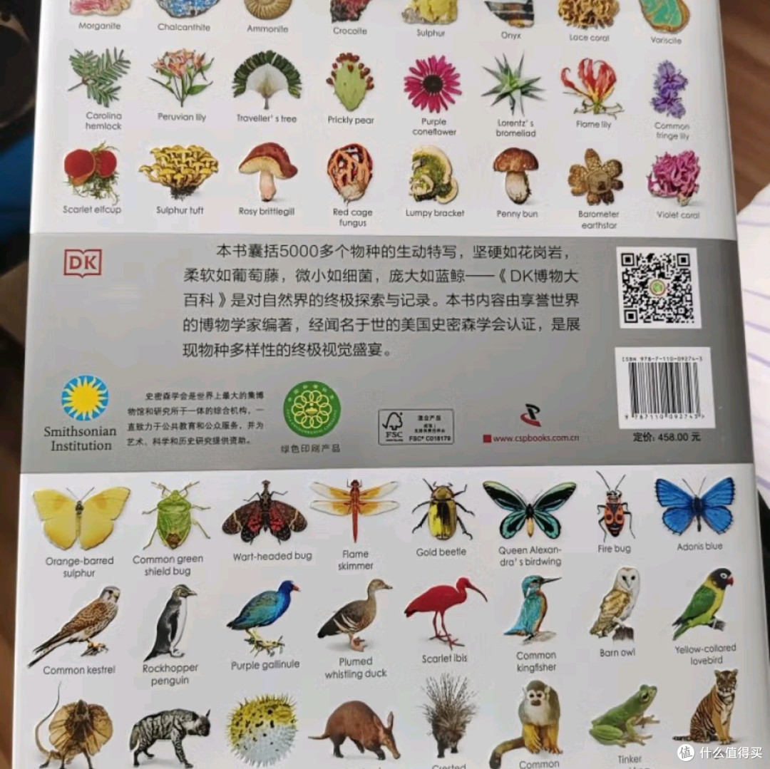 《DK博物大百科》:一场自然界的视觉与知识盛宴