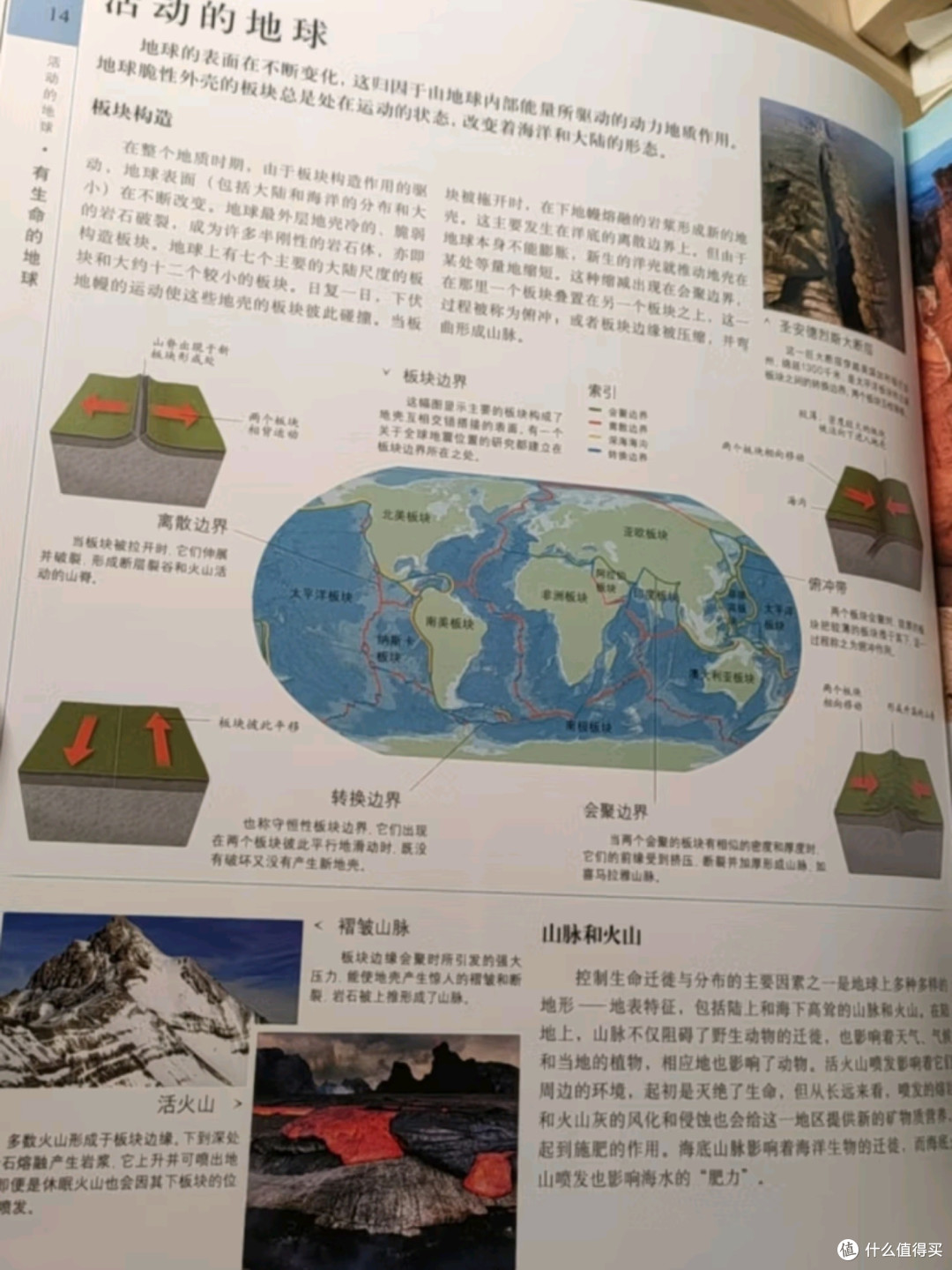 《DK博物大百科》：一场自然界的视觉与知识盛宴