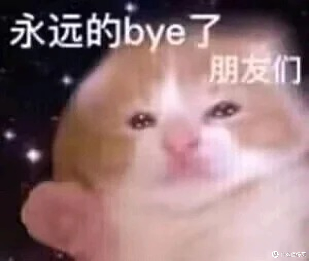 Cewey自动猫砂盆全面评测,开放式自动猫砂盆中的黑马选手