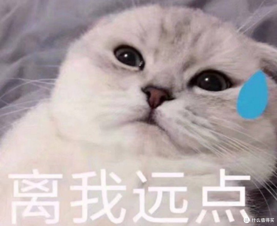 吸猫毛空气净化器哪个好？高性能款式推荐，实测数据揭秘
 