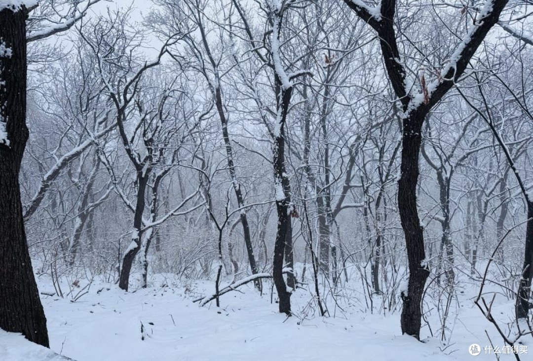 雪韵嵩山：一场难忘的亲子之旅