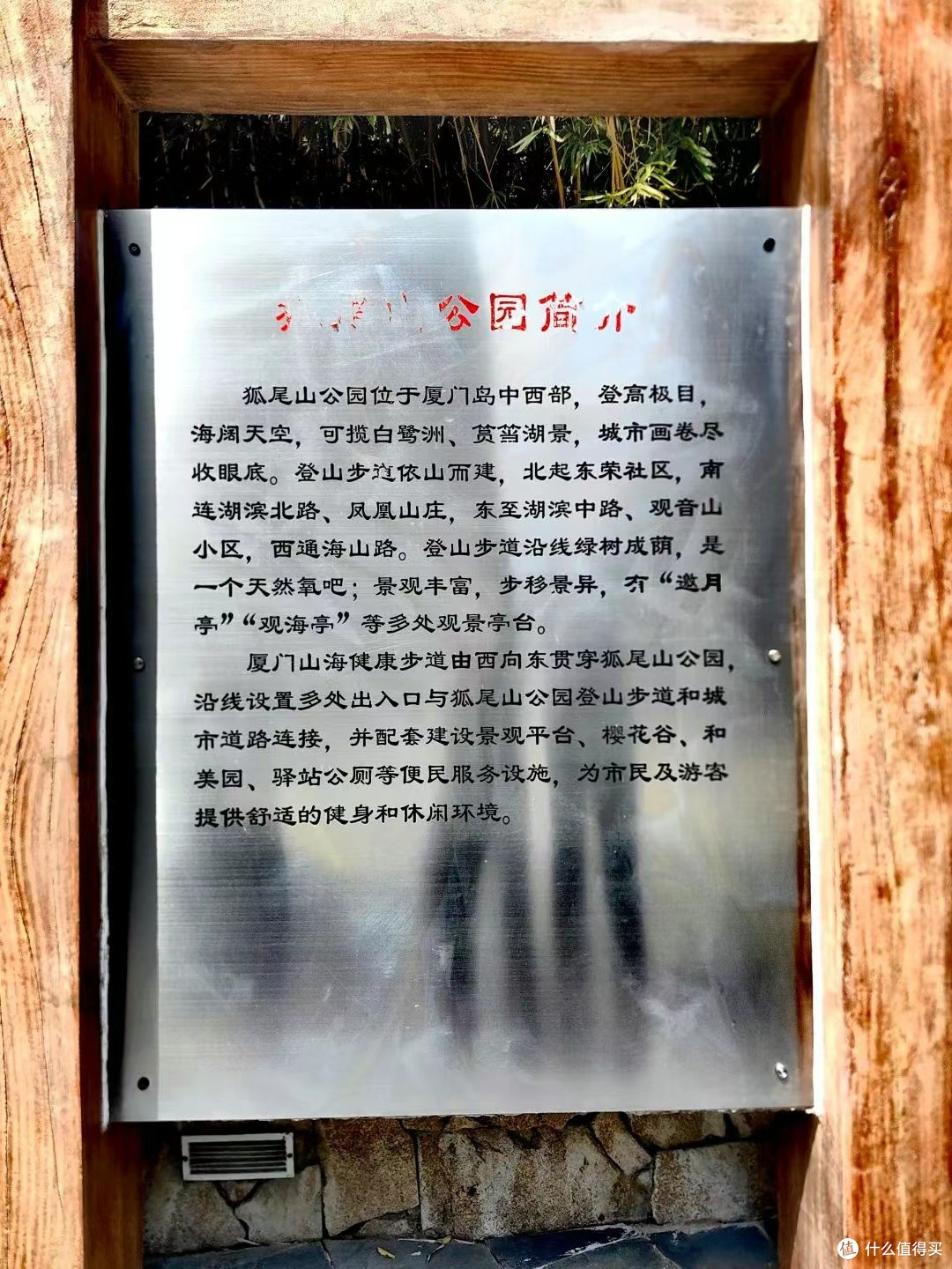 周末带女神去看樱花