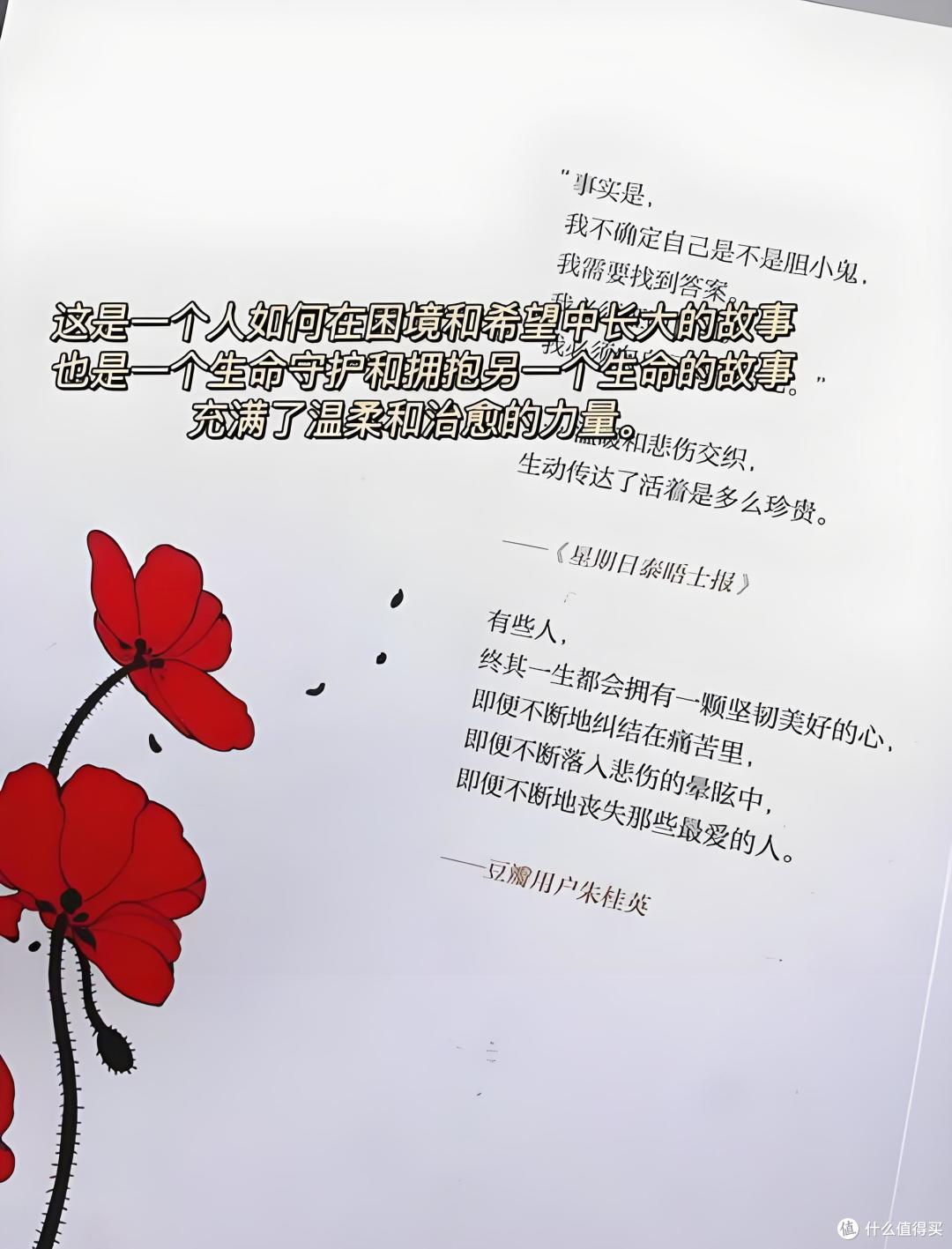 战火中永不跑调的生命童谣