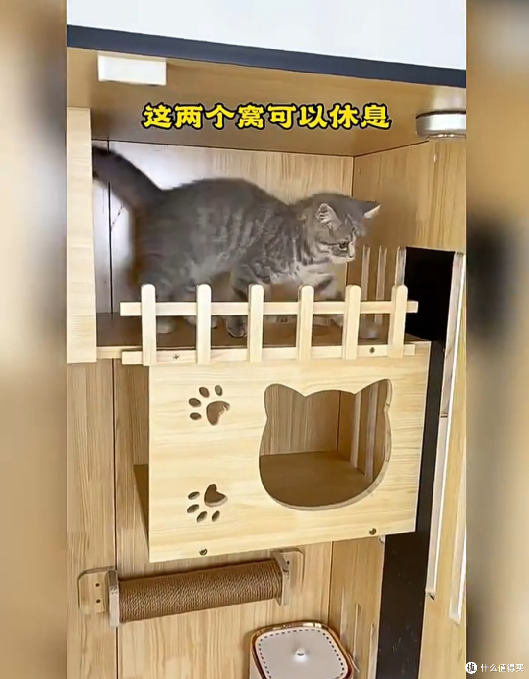 给猫咪的豪华小窝:昭简猫别墅初体验