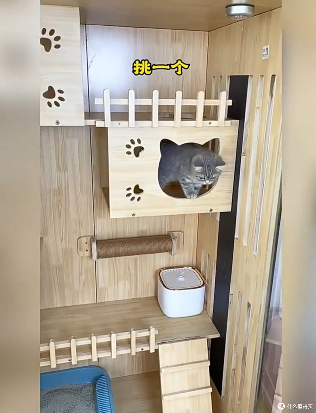 给猫咪的豪华小窝:昭简猫别墅初体验