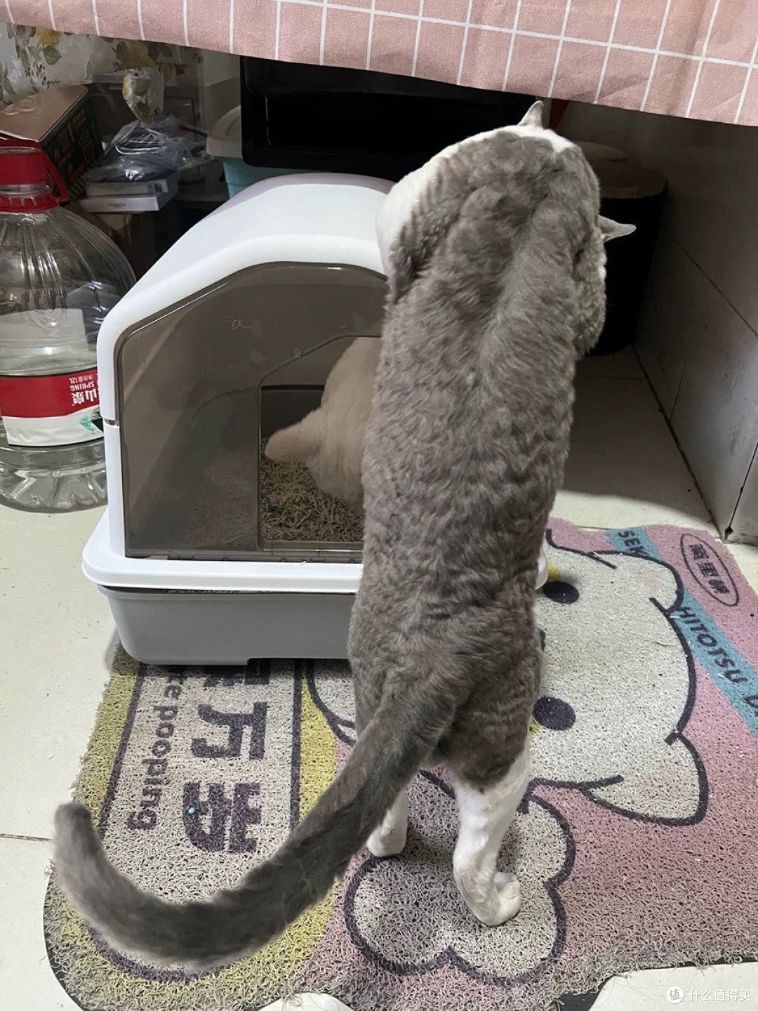 铲屎官必知!优质猫砂盆全解析