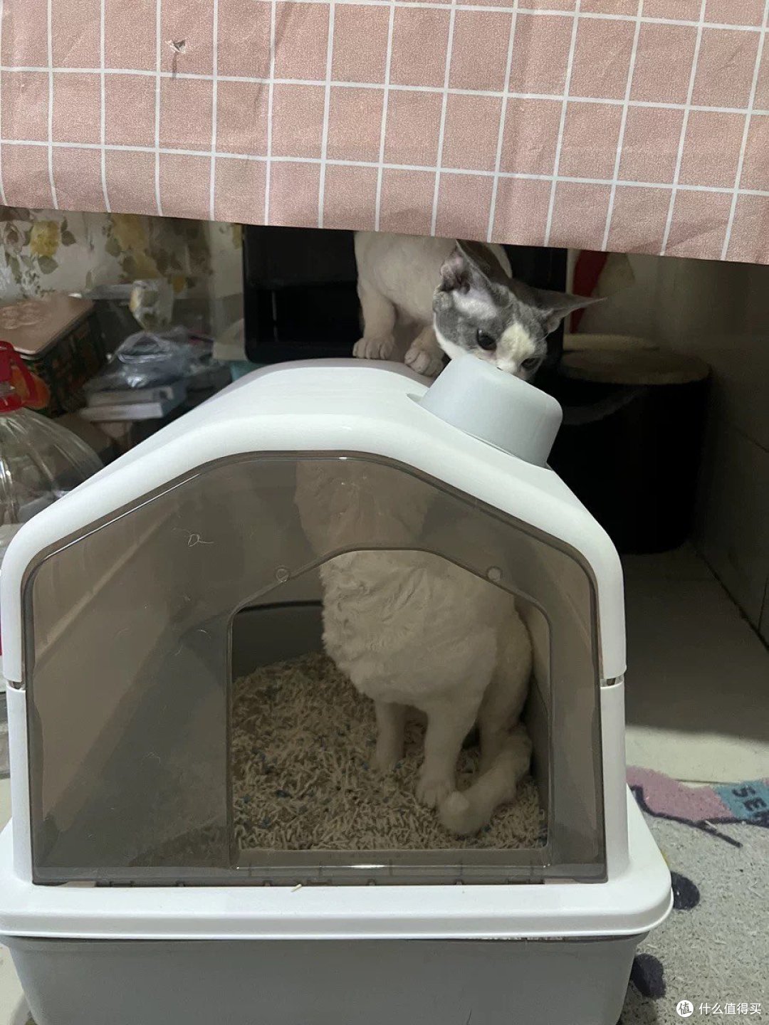 铲屎官必知!优质猫砂盆全解析