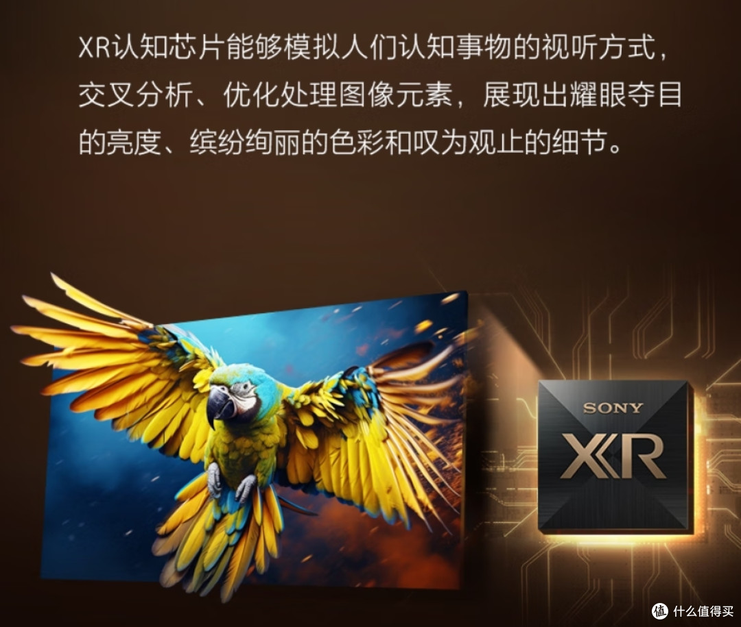高端电视选购指南:电影与游戏场景的硬核配置解析