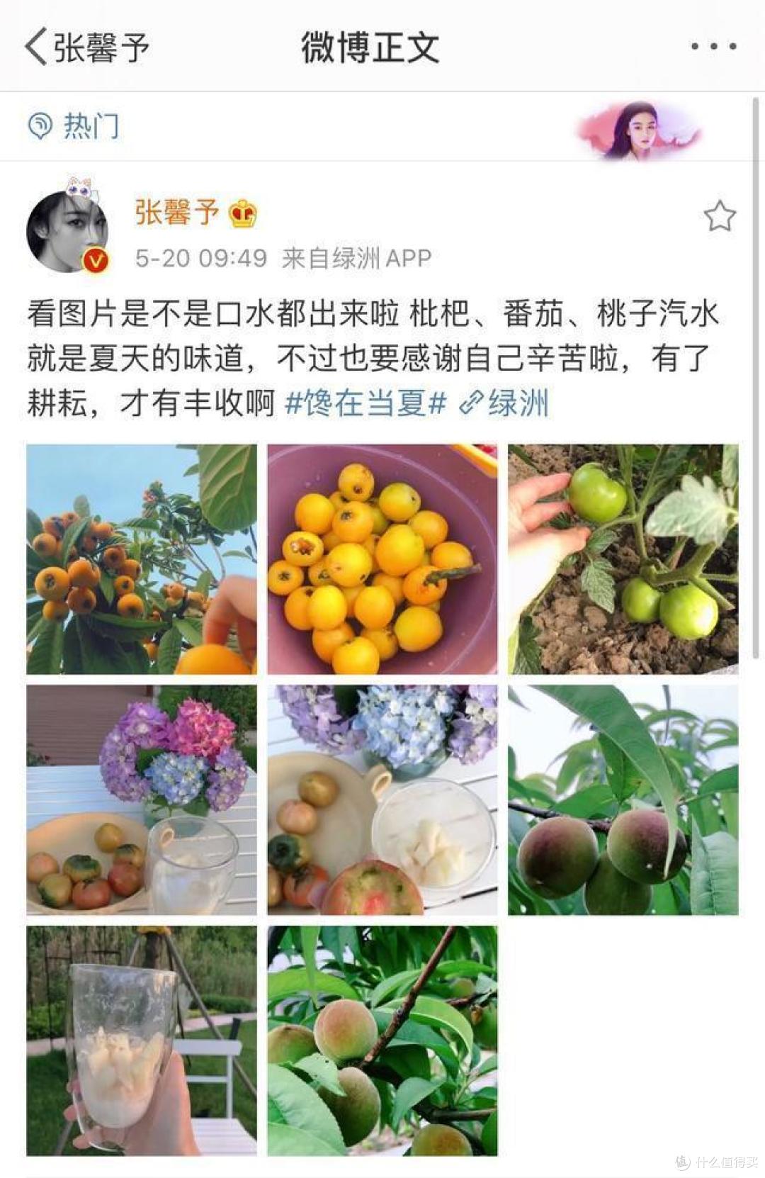 张馨予的院子又火了,仅凭一个菜园子就圈粉千万,网友:真接地气