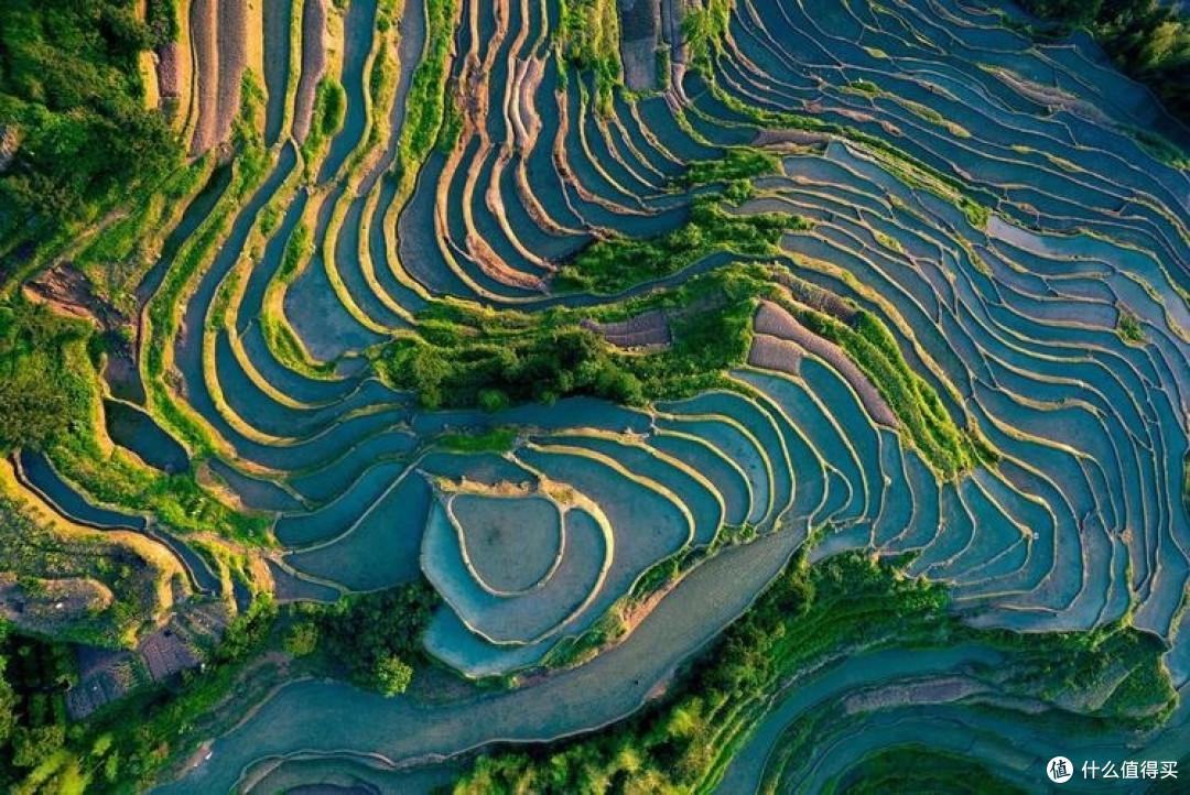 邂逅紫鹊界梯田，遇见最美的田园牧歌 