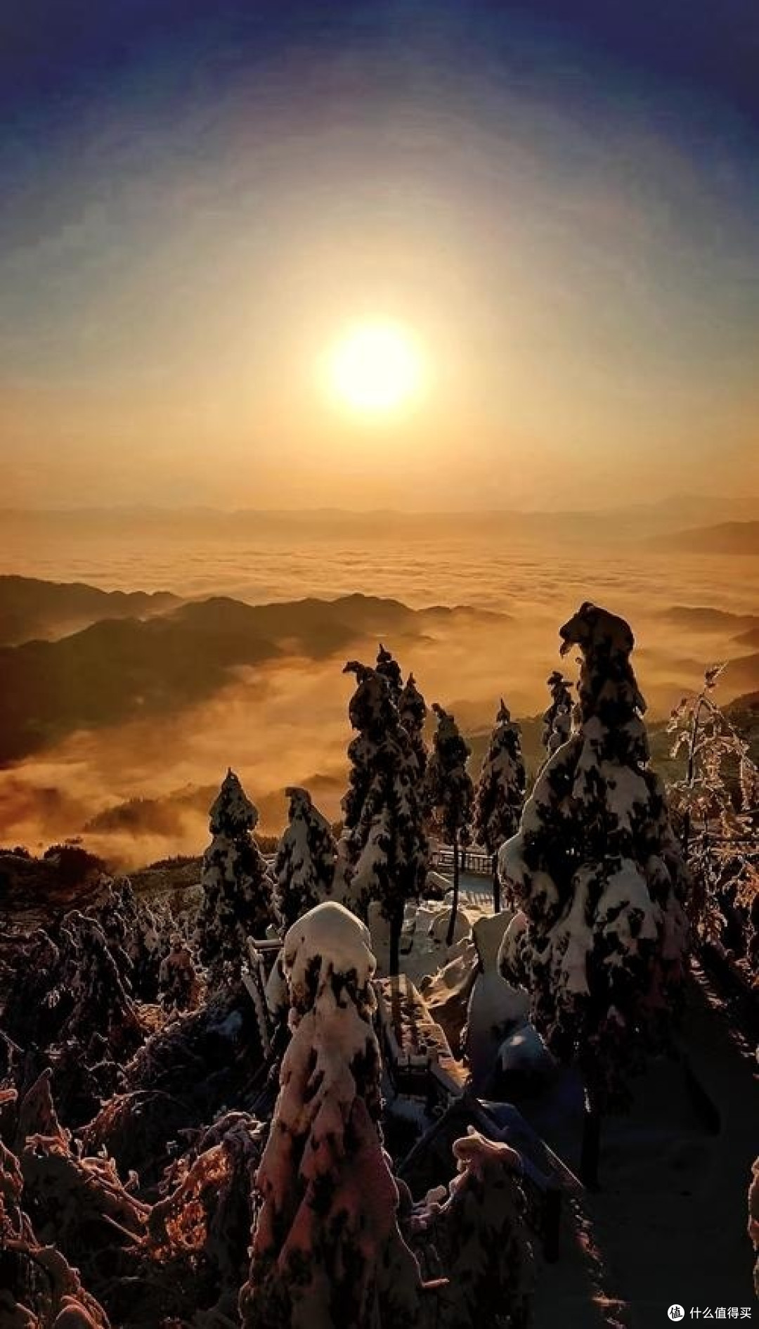 邂逅紫鹊界梯田，遇见最美的田园牧歌 