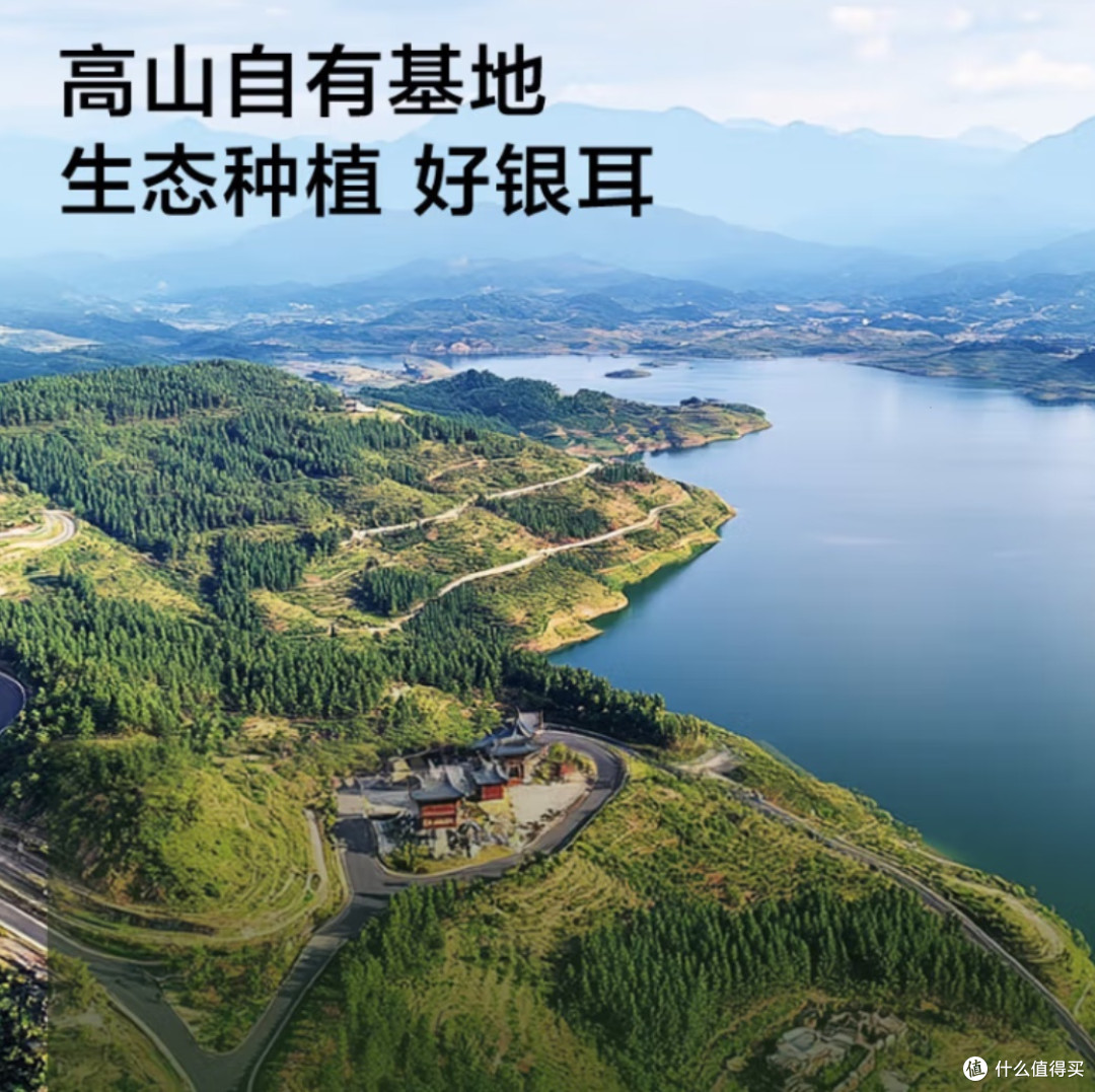 女性养颜圣品:银耳——揭秘其功效与美味做法