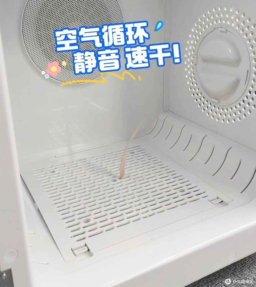 我和我的宠物搭子,有个秘密武器