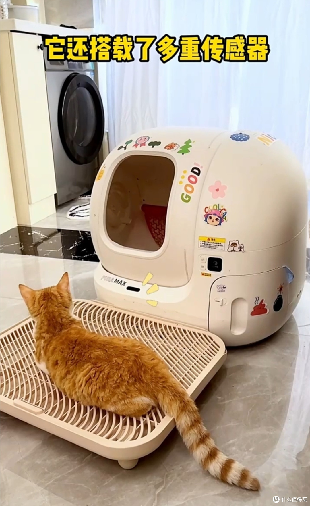 多亏有小佩智能猫砂盆,我的养猫生活轻松多了!