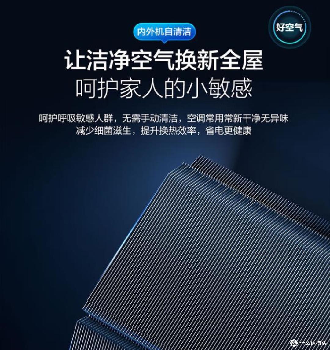 自清洁