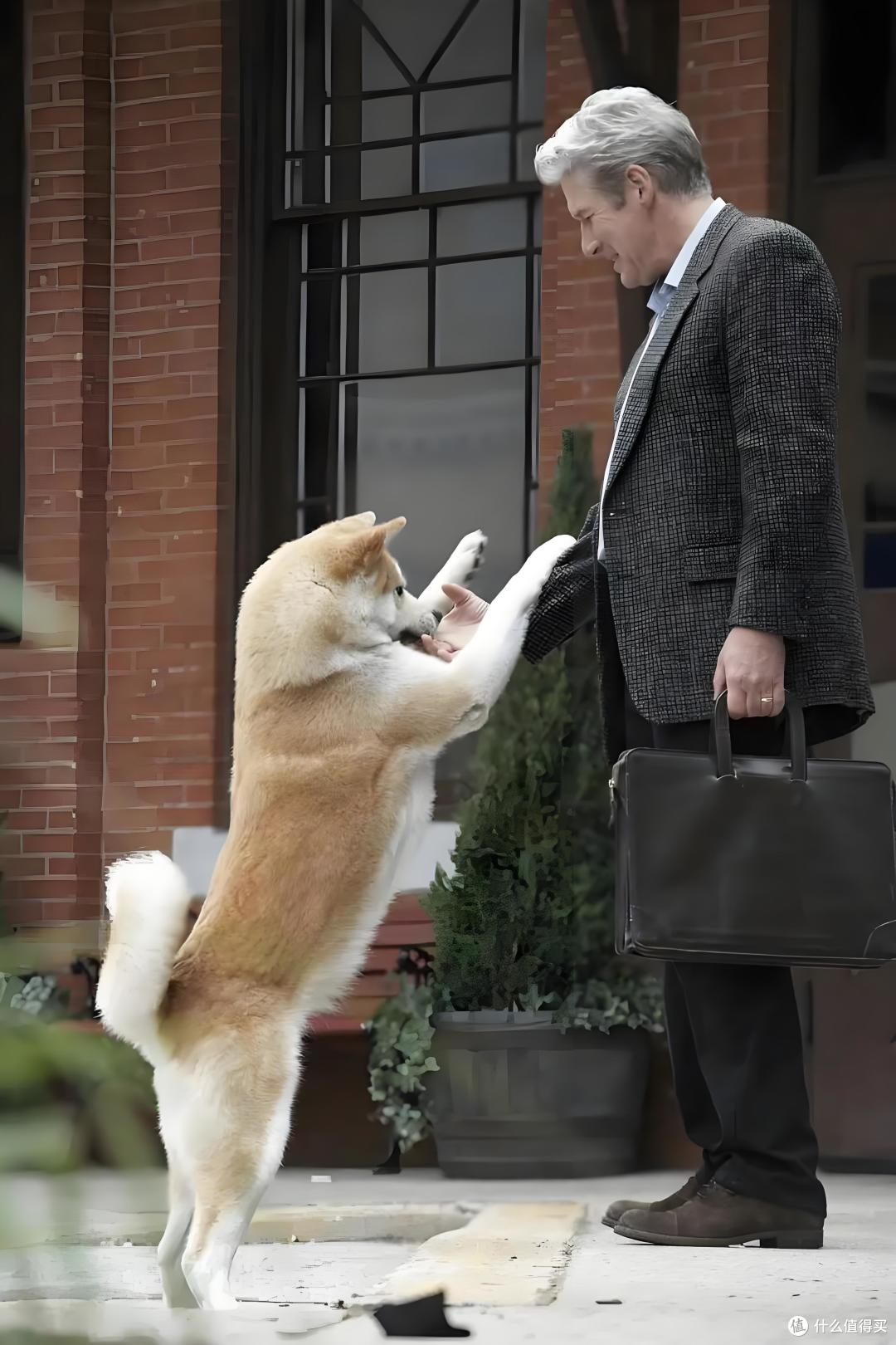 🐶🎬 《忠犬八公》|治愈系电影,哭到停不下来! 🍿💖