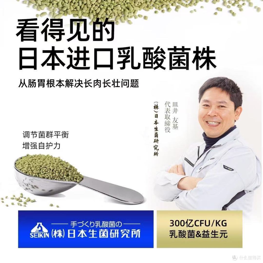 深度测评:它适鹦鹉粮,解锁爱鸟健康活力密码