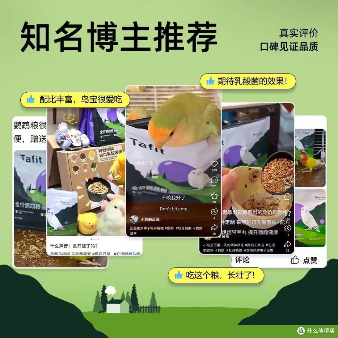 深度测评:它适鹦鹉粮,解锁爱鸟健康活力密码