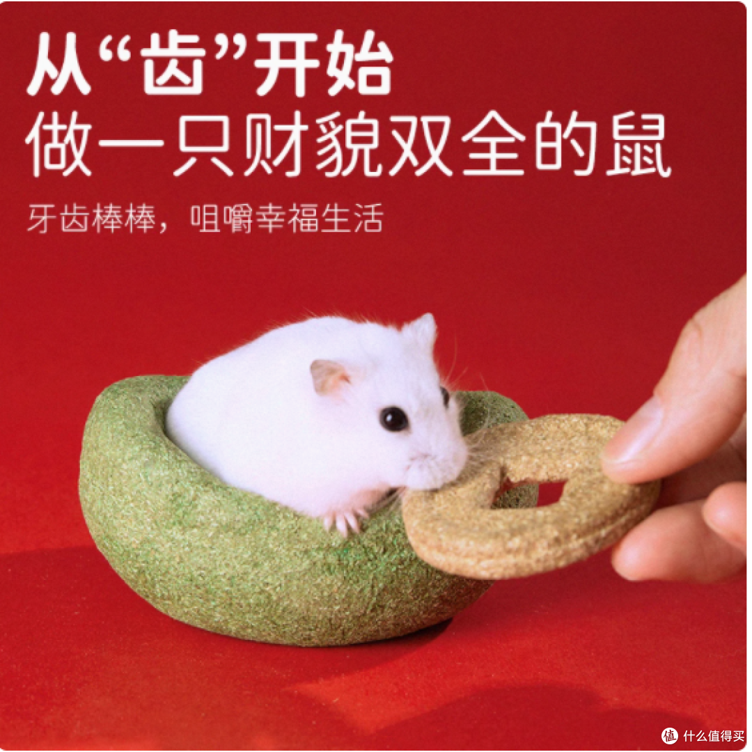 🐹萌宠必备！它适仓鼠磨牙金元宝，开启快乐磨牙时光
