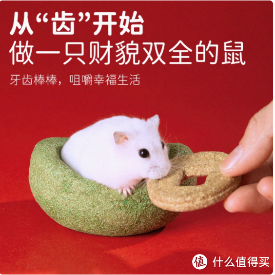 🐹仓鼠磨牙好物大揭秘，你 get 了吗？