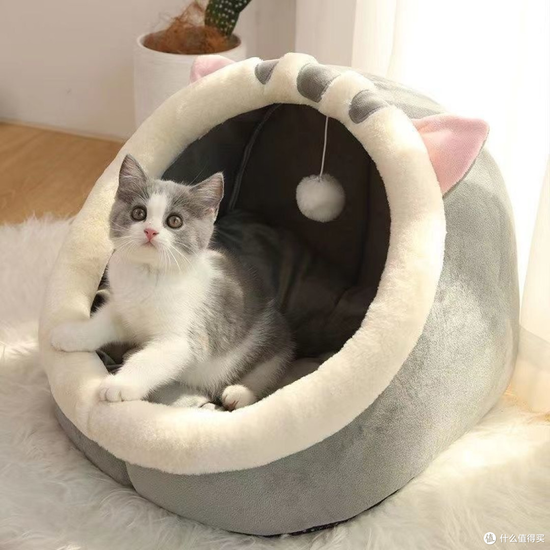 说说那些你给猫主子买了,又很鸡肋的东西!