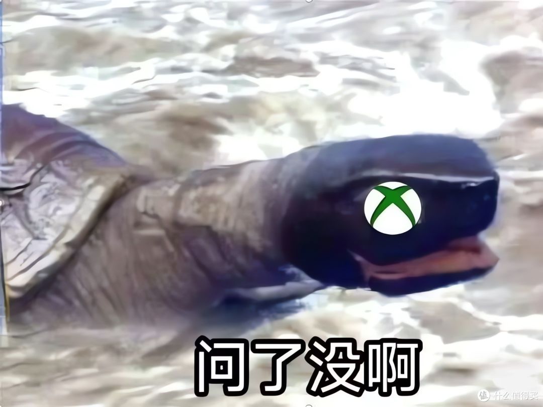 家庭影院新主张:从流媒体到私人影库的阶梯式升级指南