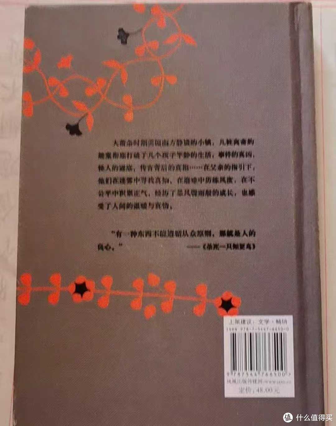 《杀死一只知更鸟》：一本值得细品的经典之作