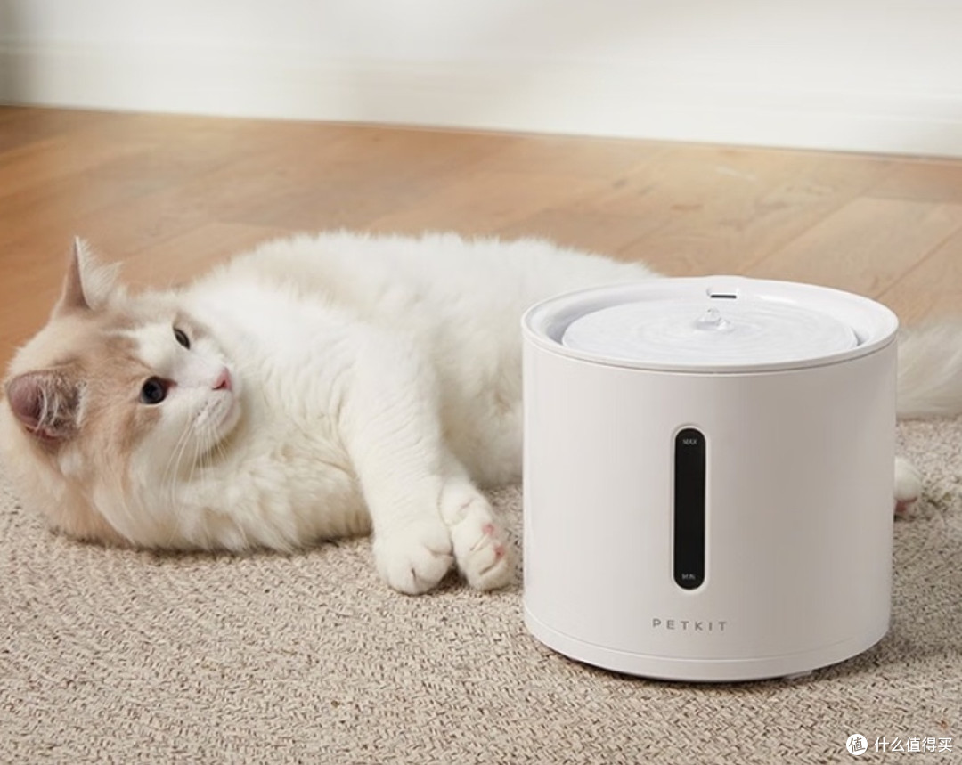 小佩智能饮水机SOLO 2，猫咪喝水新宠！