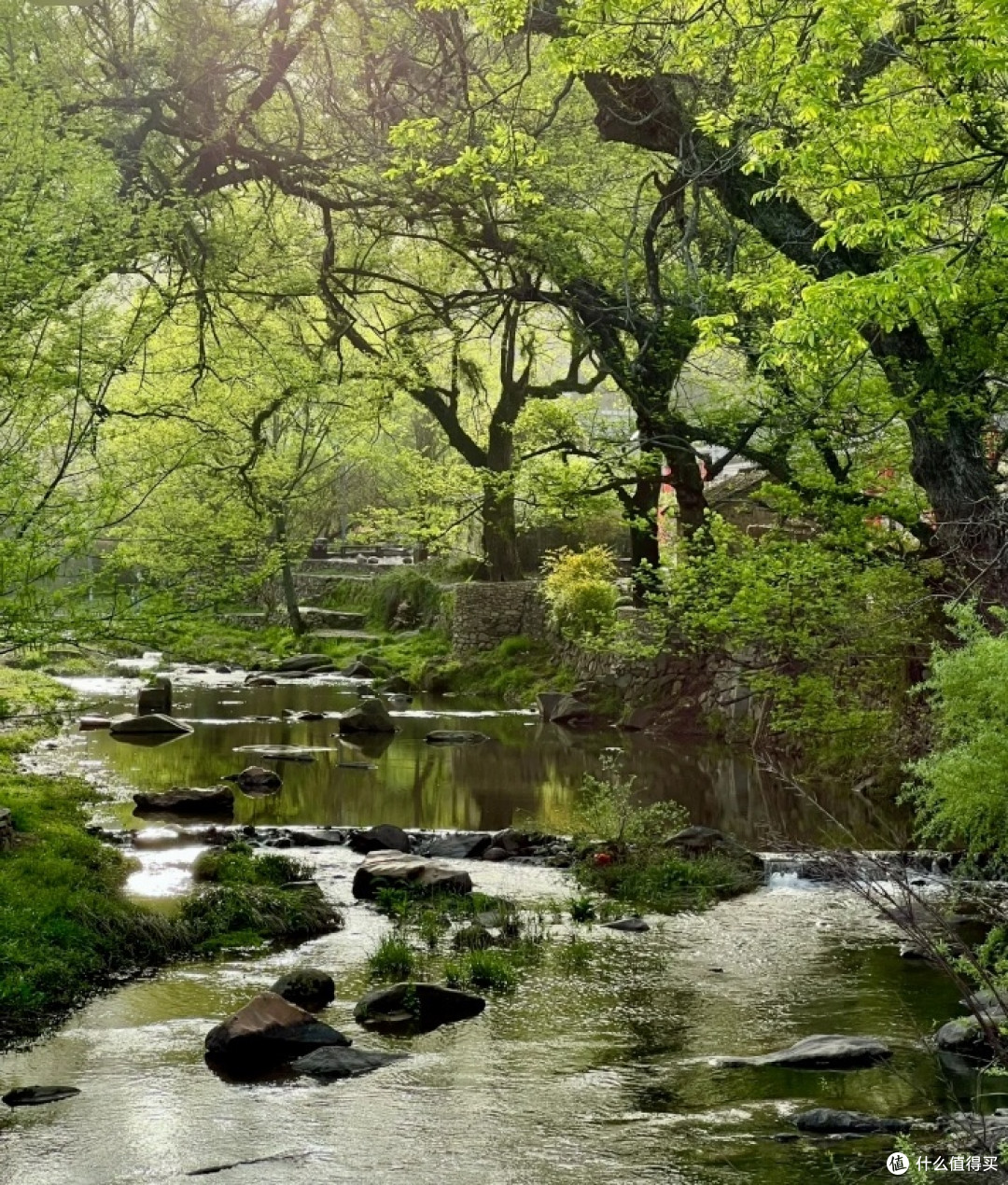 距离郑州1h,藏着一座千年古镇,风景如画,游客:像极了大理