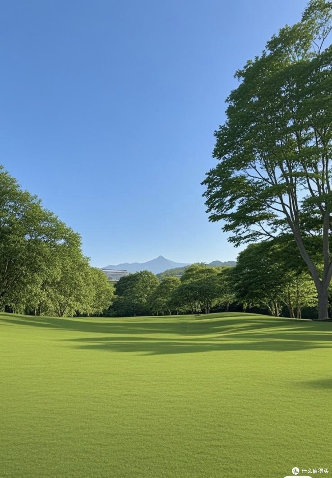 野餐必备,你知道吗?