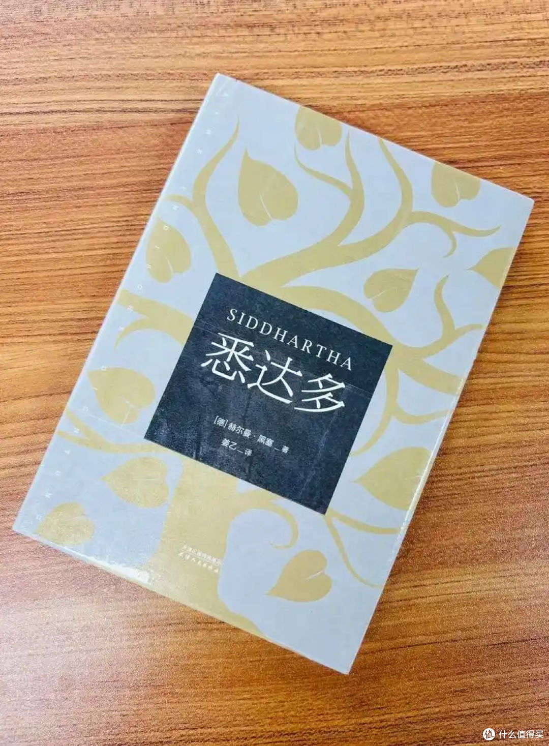 《悉达多》:女孩们的哲学启蒙,探索人生意义的深度之旅!