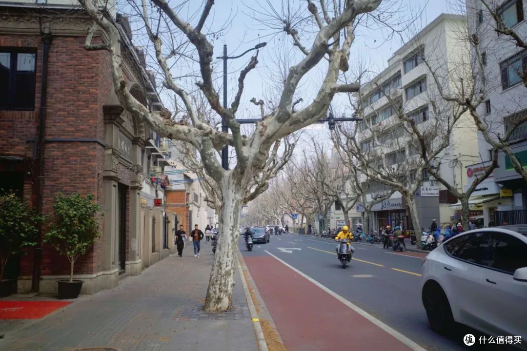 好看又好逛!这条百年小马路的玩法怕是本地人都不知道!