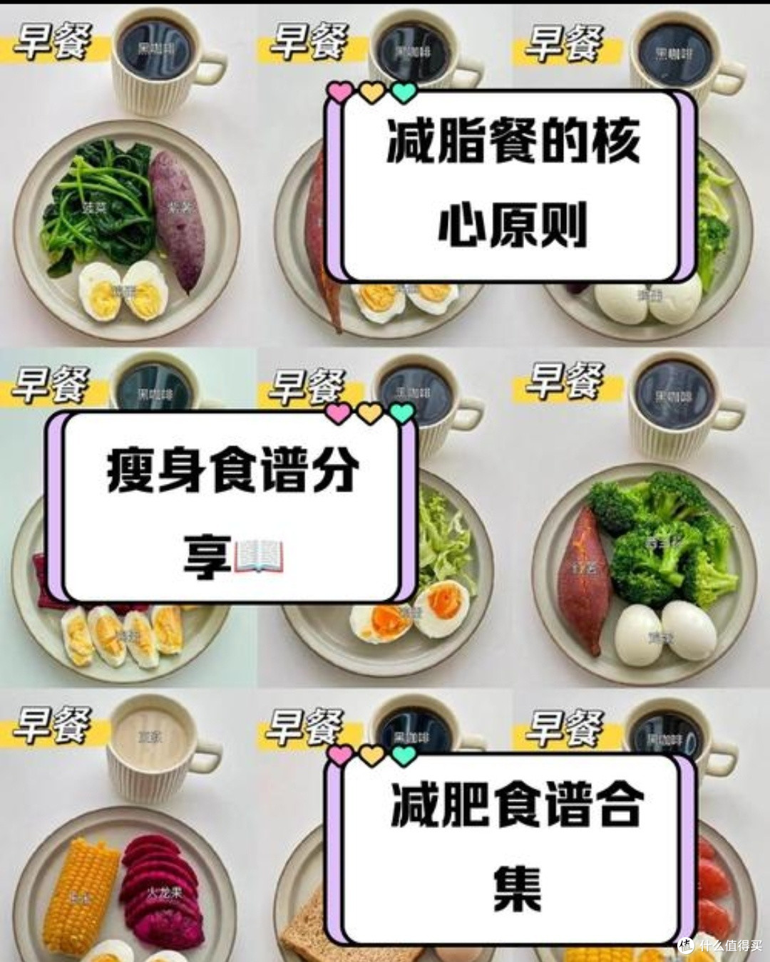 科学减肥法大盘点:低碳水、高蛋白、间歇性禁食,哪种适合你?