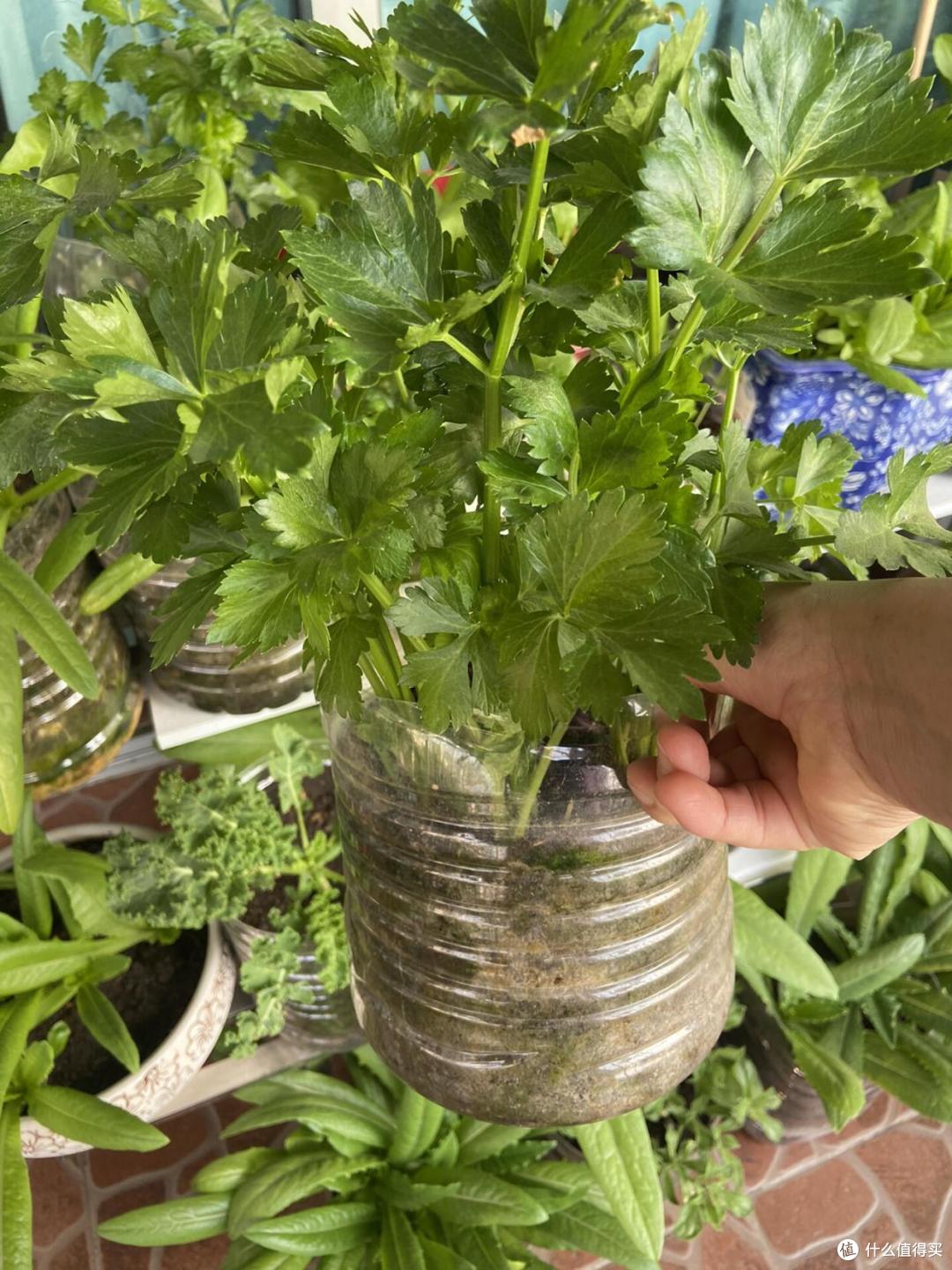 空油桶千万别扔了，这样改造一下，一年省下好几百，这方法太棒了